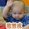 凤舞天涯比翼双飛的头像