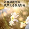 烟花易冷的头像