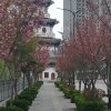苦乐园，的头像