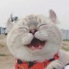 小辉的头像