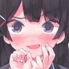 猫九的头像