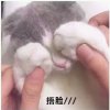 北梦沐兮的头像
