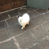 凉城的头像