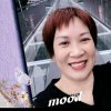 琼的头像