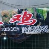 乐海小李飞刀的头像