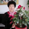 爱特玲声的头像