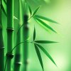 ༄༊࿆巧缘幸福的闲人࿐的头像
