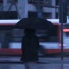 九离 ❀的头像