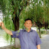 大白杨的头像