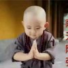 笑看红尘的头像