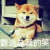 浪子小七的头像