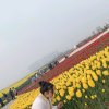 天使的头像