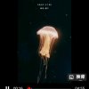 原点的头像