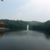 莲花的头像