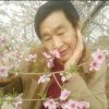 鑫浩体育器材公司的头像