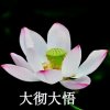 的头像