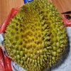 开心果的头像