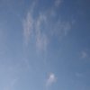 $缘份来自天意的头像