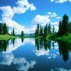 往事如风的头像