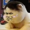 云樵；的头像