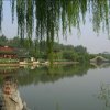 弘毅春雷的头像