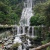 顺风的头像