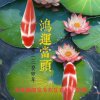 一生所爱的头像