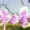 第五季的头像