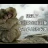 妍～来了的头像
