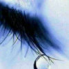 睫毛上的冰的头像
