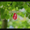 顺其自然的头像