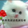 等待 拒私的头像