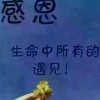 阿平的头像