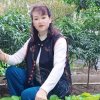 珍君的头像