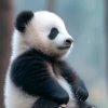不留～不恋~退的头像