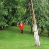 @风铃之声的头像