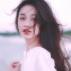 南柯一梦的头像