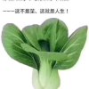 静水深流《花花互动》的头像