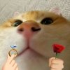 童叟无欺的头像