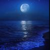 海之恋的头像