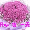 康乃馨的头像