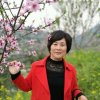 幸福一生的头像