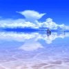 春天里的大海的头像