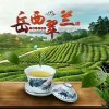 阳光灿烂的头像