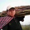 我不是歌手的头像