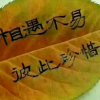 忘忧草的头像