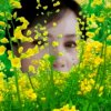 爱自己暂停的头像