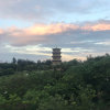 启程的头像