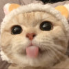 气质『迪』的头像