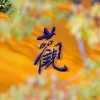 白羽的头像